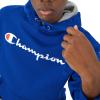 imageChampion Mens Powerblend Fleece Hoodie Sweatshirt with Script Logo Regular and Big ampamp TallSurf the Web Script