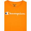 imageChampion Boys Tee Shirt Short Sleeve Logo TShirt for KidsGold Fusion