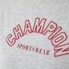 imageChampion Womens Tshirt Classic Graphic Tshirt Lightweight and Comfortable Tee For Women Plus Size AvailableOxford Gray Arched Champion Sportswear
