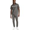 imageChampion Mens Tshirt Cotton Midweight Mens Crewneck Teetshirt for Men Graphic ScriptGranite Heather Script
