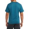 imageChampion Mens Tshirt Cotton Midweight Mens Crewneck Teetshirt for Men Graphic ScriptNifty Turquoise Tree Graphic