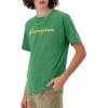 imageChampion Mens Tshirt Cotton Midweight Mens Crewneck Teetshirt for Men Graphic ScriptRoad Sign Green Script