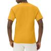 imageChampion Mens Tshirt Cotton Midweight Mens Crewneck Teetshirt for Men Graphic ScriptRoyal Gold Small Script