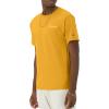 imageChampion Mens Tshirt Cotton Midweight Mens Crewneck Teetshirt for Men Graphic ScriptRoyal Gold Small Script