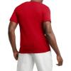 imageChampion Mens Tshirt Cotton Midweight Mens Crewneck Teetshirt for Men Graphic ScriptScarlet  Classic Script Logo