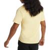 imageChampion Mens Tshirt Cotton Midweight Mens Crewneck Teetshirt for Men Graphic ScriptSunbeam Glow Script