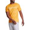 imageChampion Mens Tshirt Cotton Midweight Mens Crewneck Teetshirt for Men Graphic ScriptTeam Gold Script