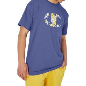 imageChampion Mens Tshirt Cotton Midweight Mens Crewneck Teetshirt for Men Graphic ScriptStone Crush Blue Cs Collage