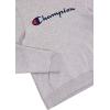 imageChampion Boys Hoodie for Kids Sweatshirt Fleece Youth Pullover With HoodGrey