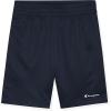 imageChampion Boys Short Sets  4 Piece Short Set for BoysRedblack