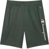 imageChampion Boys Shorts Athletic Mesh Basketball Shorts for BoysSignature Dark Forest