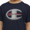 imageChampion Boys Shorts Sets 2 Piece Tee Shirt and Athletic Shorts for KidsDark Navygrey