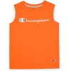 imageChampion Boys Shorts Sets 2 Piece Tee Shirt and Athletic Shorts for KidsOrangeteal