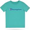 imageChampion Boys Shorts Sets 2 Piece Tee Shirt and Athletic Shorts for KidsSignature Oasis Green