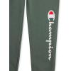 imageChampion Boys Sweatpant Heritage Collection Slim Fit Brushed Fleece Boys Joggers for KidsSignature Forest Green