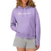 Lavish Lavender Script
