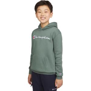 imageChampion Boys Hoodie for Kids Sweatshirt Fleece Youth Pullover With HoodSignature Dark Forest
