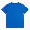 imageChampion Boys Boys Tee Shirt Short Sleeve Logo TShirt for KidsCrash Blue