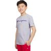 imageChampion Boys Boys Tee Shirt Short Sleeve Logo TShirt for KidsSignature Grey Heather