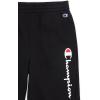 imageChampion Boys Shorts 2 Pack Athletic Fleece Short for BoysGrey Heatherblack