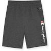 imageChampion Boys Shorts 2 Pack Athletic Fleece Short for BoysMalibu Blue
