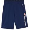 imageChampion Boys Shorts 2 Pack Athletic Fleece Short for BoysNavy Bluegrey Heather