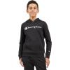 imageChampion boys Boys Hoodie for Kids Sweatshirt Fleece Youth Pullover With HoodBlack Signature