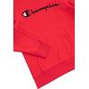 imageChampion boys Boys Hoodie for Kids Sweatshirt Fleece Youth Pullover With HoodRed