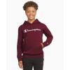 imageChampion boys Boys Hoodie for Kids Sweatshirt Fleece Youth Pullover With HoodWine