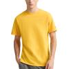 imageChampion Mens Classic Everyday Soft Comfortable TShirt Regular or Big ampamp TallTeam Gold  C Logo