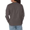 image:imageChampion Mens Mens Crewneck Fleece Sweatshirt Standard Fit Midweight C Logo Available in Regular and Big amp TallOrange C Logo
