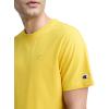 image:imageChampion Mens Classic Everyday TShirtFreesia
