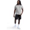 image:imageChampion Mens Classic Graphic Short Sleeve TShirt Standard Fit 2025 GraphicsOxford Grey Heather  Sunsetters