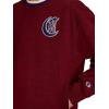 image:imageChampion Mens Indigo Dye Crewneck Sweatshirt Oversized Fit Midweight DistressedPomegranate