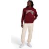 image:imageChampion Mens Indigo Dye Pullover Hoodie Oversized Fit Midweight DistressedPomegranate
