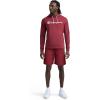 image:imageChampion Mens Long Sleeve Tshirt Hoodie Retired ColorsPomegranate  Classic Script Logo