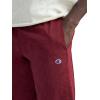 image:imageChampion Mens Modern Retro Washed 7 ShortsPomegranate