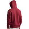 image:imageChampion Mens Pullover Fleece Hoodie Midweight C Logo Reg Or Big amp TallPomegranate