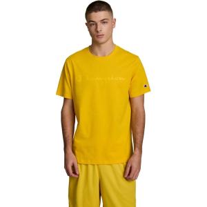 image:imageChampion Mens Classic Script Graphic Short Sleeve TShirt Standard Fit Tonal Logo Available in Regular and Big amp TallFreesia  Tonal Script Logo