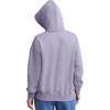 image:imageChampion Womens Pullover Fleece Hoodie Loose Fit Midweight Script Logo Available in Regular and PlusDaybreak  Embroidered Script Logo