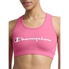 Pink Cosmos - Script Logo