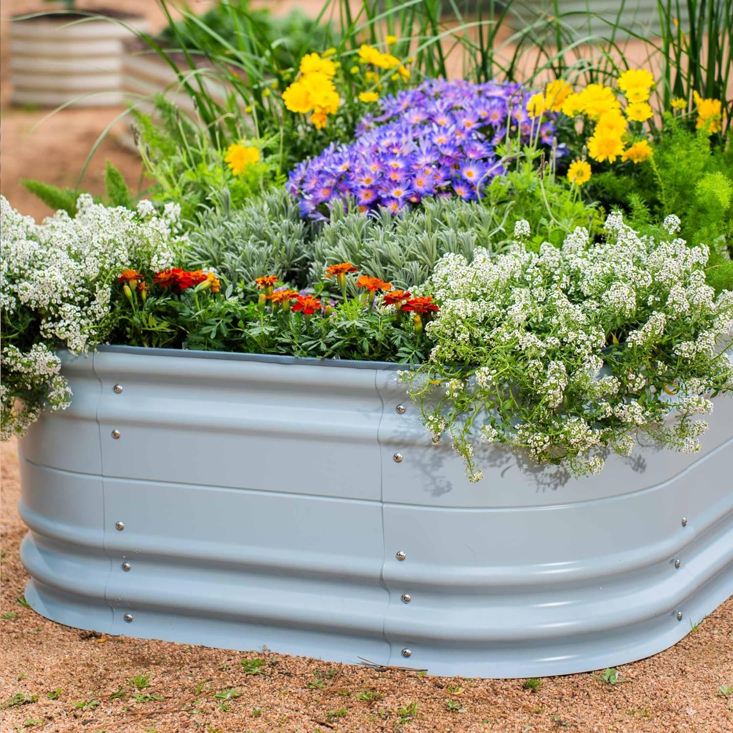 imageVego garden 17quot Tall 6 in 1 Novel Modular Raised Garden Bed Kit Metal Planter Box with 2 in 1 Wrench ampamp Magnetic Plant Tags for Vegetables Flowers Fruits Pearl WhiteSky Blue
