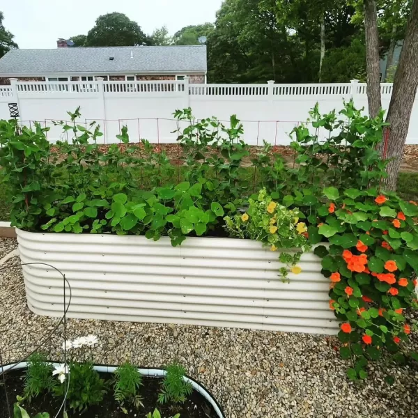 imageVego garden 32quot Extra Tall Raised Garden Bed Kits 4 in 1 Modular Raised Planter Box for Vegetables Flowers Fruits Oval Metal Raised Garden Bed Modern GrayPearl White