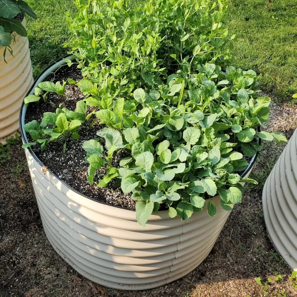 imageVego garden 32quot Extra Tall Raised Garden Bed Kits 4 in 1 Modular Raised Planter Box for Vegetables Flowers Fruits Oval Metal Raised Garden Bed Modern GrayPearl White