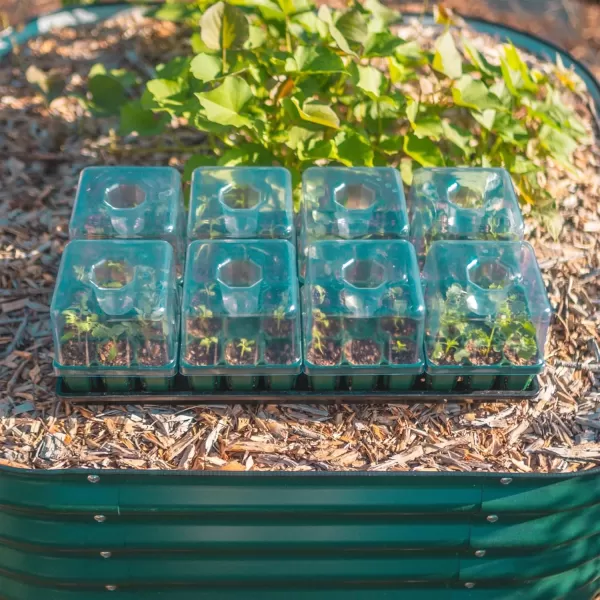 imageVego garden Seedling Suite Products 4 Pack Jumbo Seedling Trays with Seedling Tray Lids and 10quot x 10quot Bottom Watering Trays10 x 20 Bottom Tray