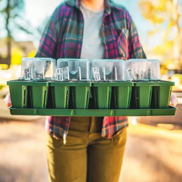 imageVego garden Seedling Suite Products 4 Pack Jumbo Seedling Trays with Seedling Tray Lids and 10quot x 10quot Bottom Watering Trays10 x 20 Bottom Tray