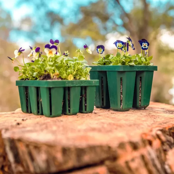 imageVego garden Seedling Suite Products 4 Pack Jumbo Seedling Trays with Seedling Tray Lids and 10quot x 10quot Bottom Watering Trays10 x 20 Bottom Tray