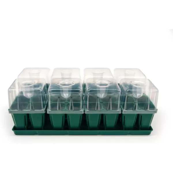 imageVego garden Seedling Suite Products 4 Pack Jumbo Seedling Trays with Seedling Tray Lids and 10quot x 10quot Bottom Watering Trays10 x 20 Bottom Tray