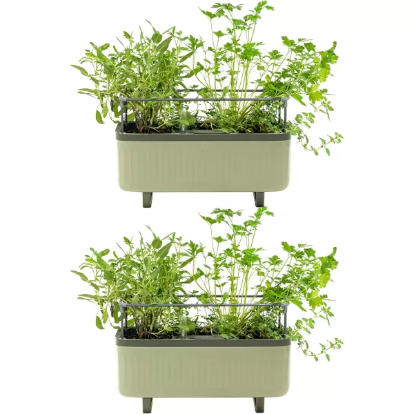 imageVego garden 2 Pack Herb Indoor Plant Box Self Watering Planters Pots for Indoor Plants with Trellis for Kitchen Window Sill or Countertop Plants Cage  Sage GreenSage Green
