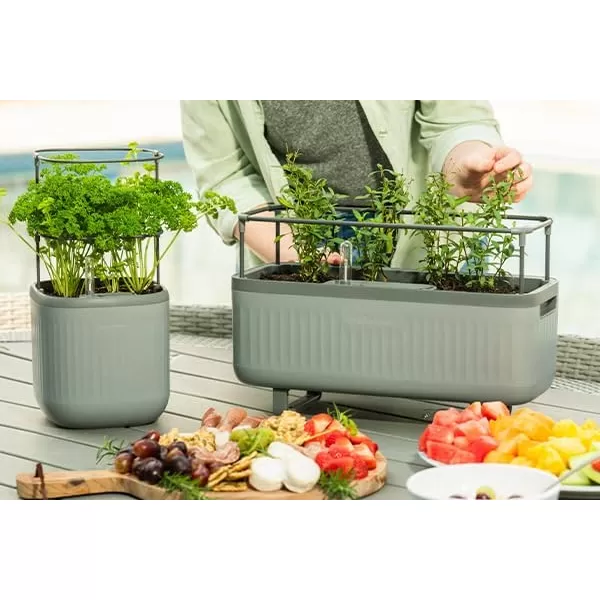 imageVego garden 2 Pack Herb Indoor Plant Box Self Watering Planters Pots for Indoor Plants with Trellis for Kitchen Window Sill or Countertop Plants Cage  Sage GreenSage Green